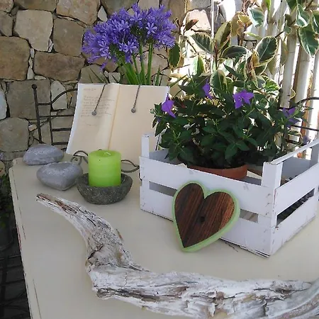 La Cicala Stonata דולצ'אקווה