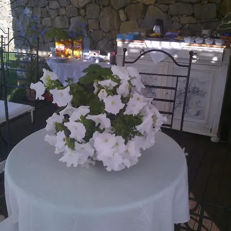 La Cicala Stonata 住宿加早餐酒店 4*