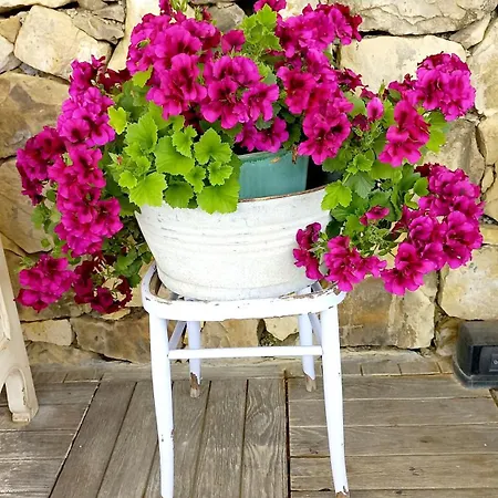 La Cicala Stonata 4*