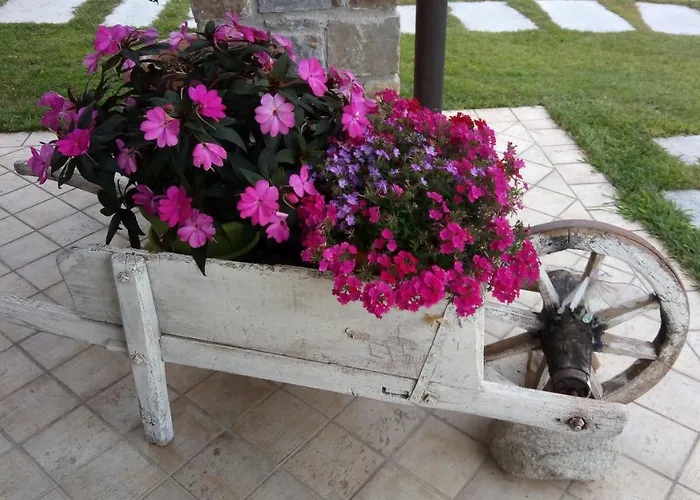 Bed & Breakfast La Cicala Stonata 4*