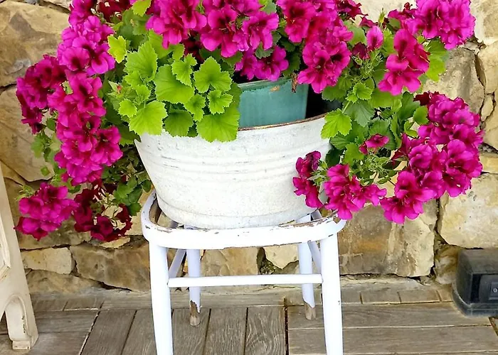 La Cicala Stonata 4*