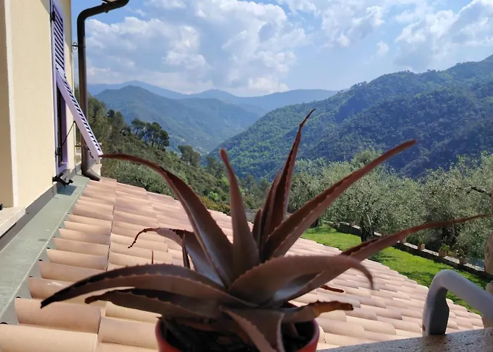 La Cicala Stonata Bed & Breakfast Dolceacqua