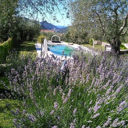 La Cicala Stonata 4*