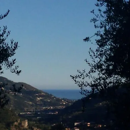 La Cicala Stonata