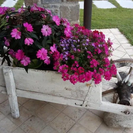 Bed & Breakfast La Cicala Stonata *