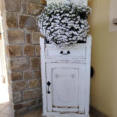 La Cicala Stonata * Dolceacqua