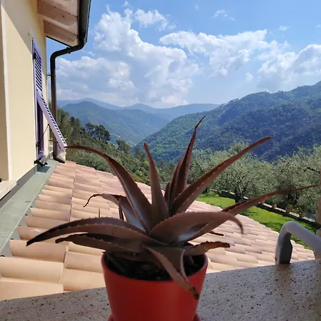 La Cicala Stonata Bed & Breakfast Dolceacqua